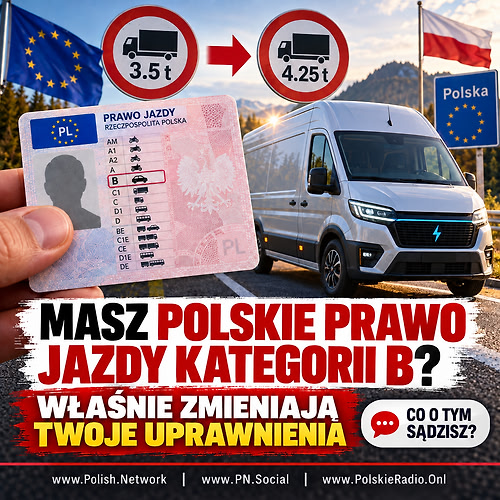 Grafika publikacji